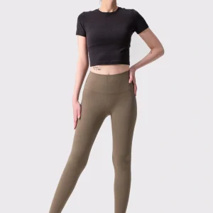 ყავისფერი ელასტიკი